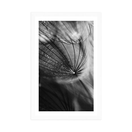 POSTER WITH MOUNT BEAUTIFUL DANDELION IN BLACK AND WHITE - BLACK AND WHITE - POSTERS