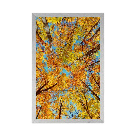 POSTER AUTUMN TREE CROWNS - NATURE - POSTERS