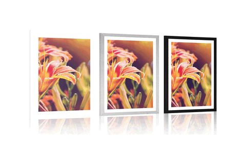 AFFICHE AVEC PASSE-PARTOUT – FLEURS MAGNIFIQUEMENT FLORISSANTES DANS LE JARDIN - FLEURS - AFFICHES