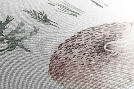 KÉP ÁLLATOK TALÁLKOZÓJA AZ ERDŐBEN - KÉPEK GYEREKEKNEK - KÉPEK