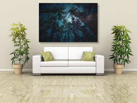 KÉP ÉJ AZ ERDŐBEN - ERDŐT ÁBRÁZOLÓ KÉPEK - KÉPEK