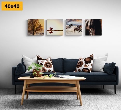 BILDER-SET FÜR PFERDELIEBHABER - BILDERSETS - BILDER