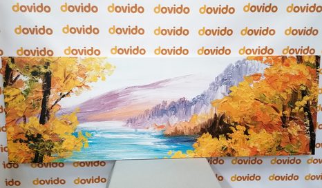 OBRAZ SCENÉRIE HORSKÉHO JEZERA - OBRAZY PŘÍRODY A KRAJINY - OBRAZY