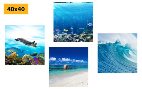 BILDER-SET MEERESWELT - BILDERSETS - BILDER