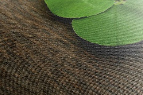 OBRAZ ŠŤASTNÝ ČTYŘLÍSTEK - OBRAZY ZÁTIŠÍ - OBRAZY