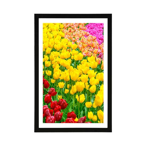 POSTER WITH MOUNT GARDEN FULL OF TULIPS - FLOWERS - POSTERS