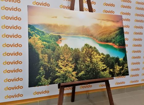 КАРТИНА НА ПЛАТНО – РЕКА В ЗЕЛЕНА ГОРА - КАРТИНИ НА ПРИРОДАТА И ПЕЙЗАЖИ - КАРТИНИ