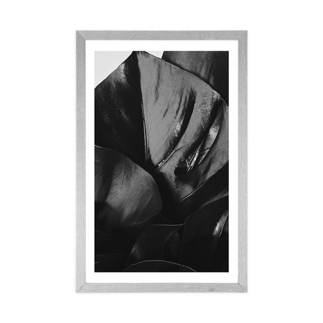 POSTER CU PASSEPARTOUT FRUNZĂ DE MONSTERĂ ÎN DESIGN ALB-NEGRU - ALB-NEGRU - POSTERE