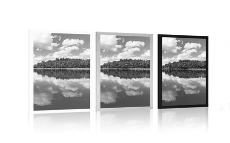 POSTER NATURE IN SUMMER IN BLACK AND WHITE - BLACK AND WHITE - POSTERS
