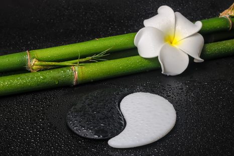 OBRAZ SPA ZÁTIŠÍ A KAMENY JIN A JANG - OBRAZY FENG SHUI - OBRAZY