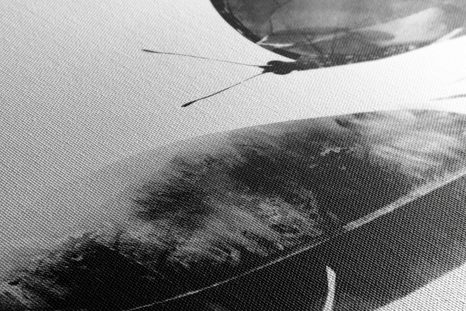 TABLOU PANĂ ȘI FLUTURE ALB-NEGRU - TABLOURI ALB-NEGRU - TABLOURI