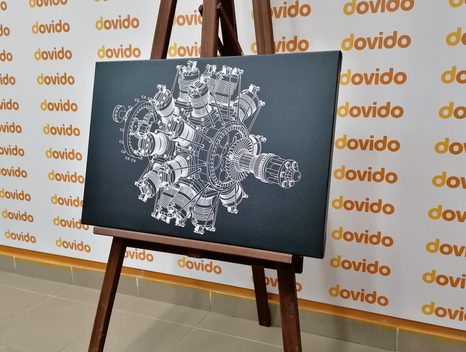 OBRAZ HVĚZDICOVÝ MOTOR - ČERNOBÍLÉ OBRAZY - OBRAZY