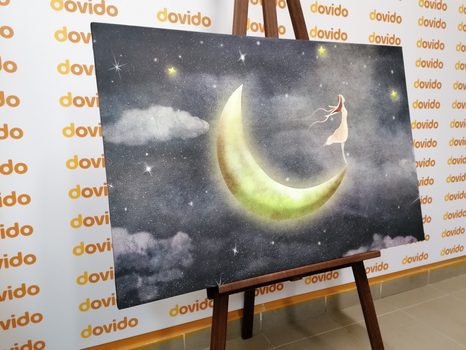 TABLOU FATĂ PE LUNĂ - TABLOURI CU DIVERSE PERSOANE - TABLOURI