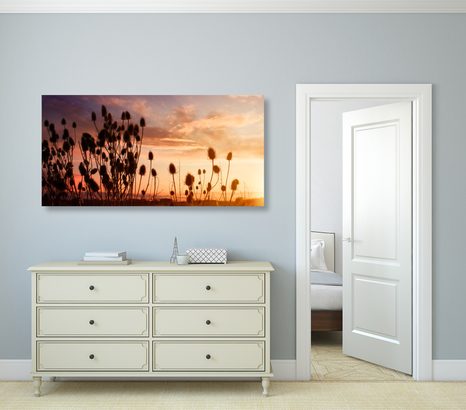 OBRAZ STÉBLA TRÁVY NA POLI - OBRAZY PŘÍRODY A KRAJINY - OBRAZY