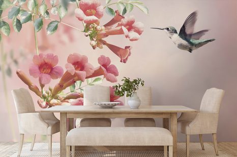 TAPETE ANFLUG DER KOLIBRIS - TAPETEN MIT TIERMOTIVEN - TAPETEN