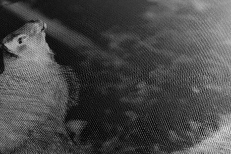 WANDBILD MAJESTÄTISCHER HIRSCH IN SCHWARZ-WEISS - SCHWARZ-WEISSE BILDER - BILDER