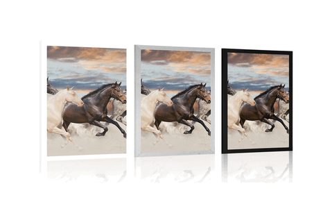 POSTER PFERDEHERDE - TIERE - POSTER