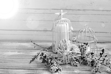 FOTOTAPETA ČERNOBÍLÉ VĚTVIČKY A LUCERNIČKY - ČERNOBÍLÉ TAPETY - TAPETY