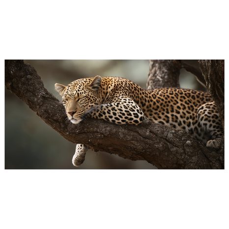 OBRAZ DIVOKÁ ELEGANCE V PŘÍRODĚ - OBRAZY LVI A TYGŘI - OBRAZY