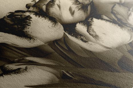 OBRAZ JARNÉ TULIPÁNY V SÉPIOVOM PREVEDENÍ - ČIERNOBIELE OBRAZY - OBRAZY