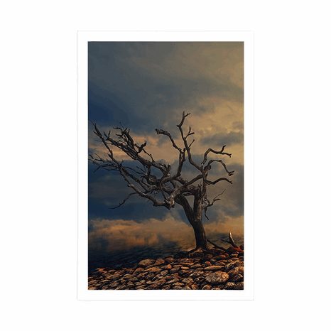 PLAKÁT VYSCHLÝ STROM - PŘÍRODA - PLAKÁTY