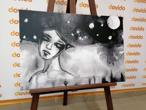 OBRAZ MĚSÍČNÍ VÍLA V ČERNOBÍLÉM PROVEDENÍ - ČERNOBÍLÉ OBRAZY - OBRAZY