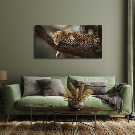 OBRAZ DIVOKÁ ELEGANCE V PŘÍRODĚ - OBRAZY LVI A TYGŘI - OBRAZY