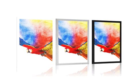 PLAKAT LET PAPAGAJA - ŽIVALI - PLAKATI