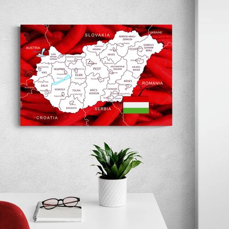 OBRAZ MAPA MAĎARSKA S TYPICKÝM POZADÍM - OBRAZY MAPY - OBRAZY