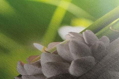 КАРТИНА НА ПЛАТНО – ХАРМОНИЧЕН БУДА - ФЪН ШУЙ КАРТИНИ - КАРТИНИ