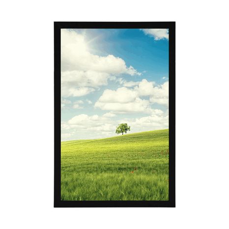 PLAGÁT NÁDHERNÝ SLNEČNÝ DEŇ NA LÚKE - PRÍRODA - PLAGÁTY