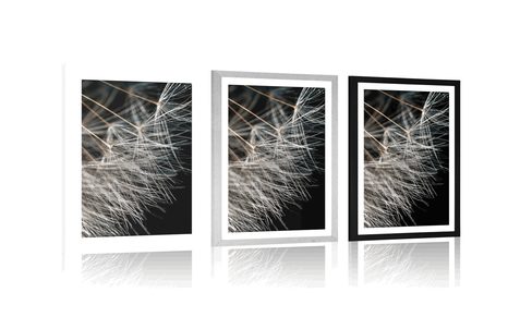 POSTER – BELLEZZA DEL DENTE DI LEONE - FIORI - POSTER