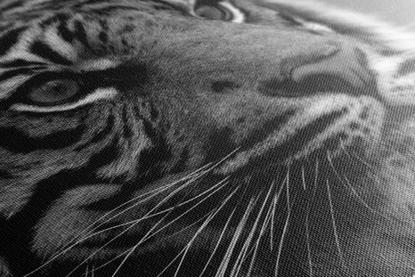 WANDBILD BENGAL-TIGER IN SCHWARZ-WEISS - SCHWARZ-WEISSE BILDER - BILDER