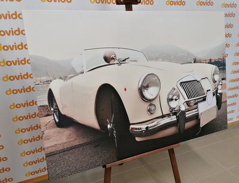 TABLOU VETERAN ALB DE LUX - TABLOURI CU MAȘINI - TABLOURI