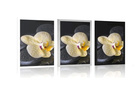 PLAKAT ZEN KAMENJE SA ŽUTOM ORHIDEJOM - FENG SHUI - PLAKATI