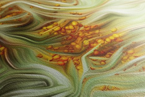 OBRAZ DETAIL RAKYTNÍKU - OBRAZY KVĚTŮ - OBRAZY