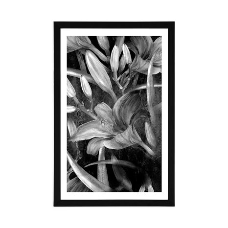 POSTER – FIORITURA DI GIGLIO IN BIANCO E NERO - NERO E BIANCO - POSTER