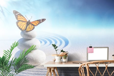 TAPETA ROVNOVÁHA KAMENŮ S MOTÝLEM - TAPETY FENG SHUI - TAPETY