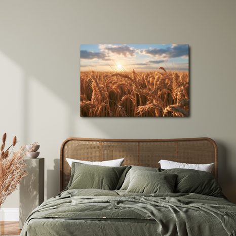 TABLEAU SUR TOILE – BLÉ DORÉ AU COUCHER DU SOLEIL - TABLEAUX DE CHAMPS ET PRAIRIES - TABLEAUX