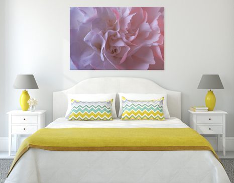 KÉP SZÍNES SZEKFŰ - VIRÁGMINTÁS KÉPEK - KÉPEK