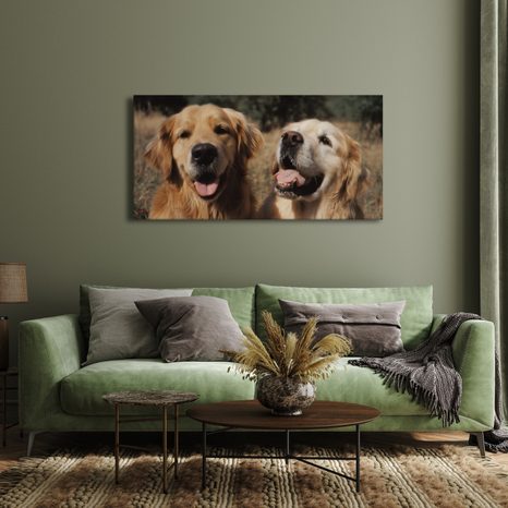 OBRAZ ZLATO V SRSTI PSŮ - OBRAZY PSI - OBRAZY