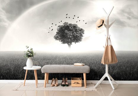 SAMOLEPÍCÍ TAPETA OSAMĚLÝ ČERNOBÍLÝ STROM NA LOUCE - SAMOLEPÍCÍ TAPETY - TAPETY