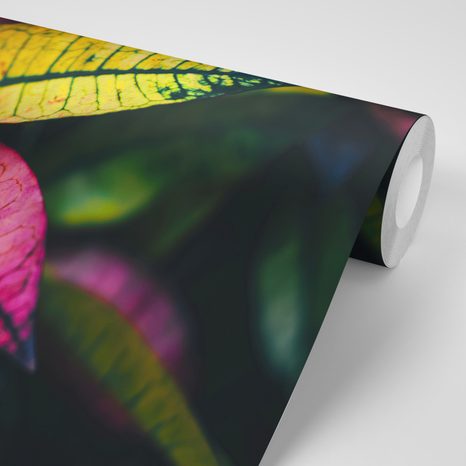 FOTOTAPETA ZBARVENÉ LISTY - TAPETY PŘÍRODA - TAPETY