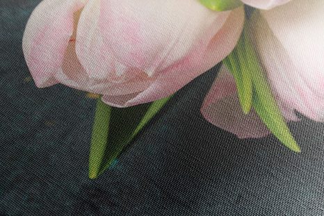 WANDBILD PASTELL ROSA TULPEN - BILDER BLUMEN - BILDER