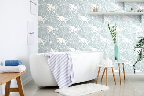 CARTA DA PARATI – MONSTERA DELICATA - CARTA DA PARATI NATURA - CARTA DA PARATI