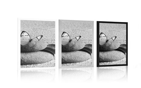 POSTER SCHMETTERLING AUF ZEN-STEIN IN SCHWARZ-WEISS - SCHWARZ-WEISS - POSTER