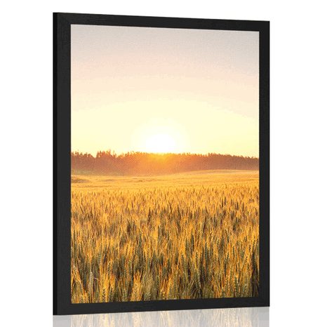 POSTER SUNSET OVER THE FIELD - NATURE - POSTERS