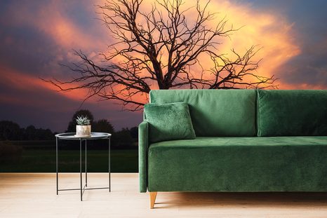 SAMOLEPÍCÍ FOTOTAPETA NÁDHERNÝ STROM NA LOUCE - SAMOLEPÍCÍ TAPETY - TAPETY