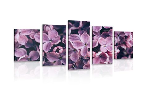 5-PIECE CANVAS PRINT PURPLE LILAC FLOWERS - PICTURES FLOWERS - PICTURES