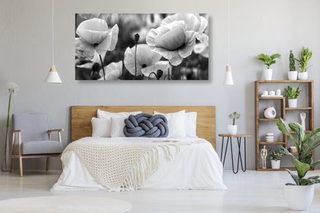 OBRAZ KRÁSNÉ POLE VLČÍCH MÁKŮ V ČERNOBÍLÉM PROVEDENÍ - ČERNOBÍLÉ OBRAZY - OBRAZY